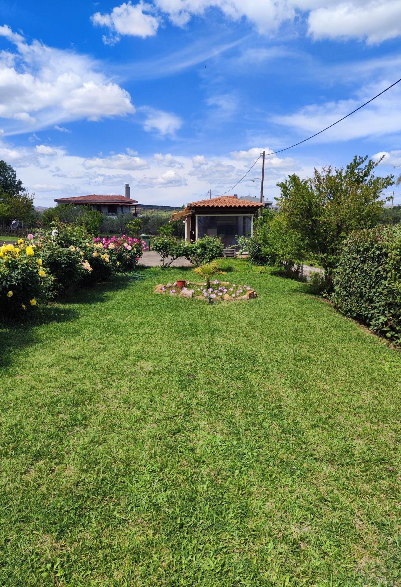 Harry's Alexandroupoli