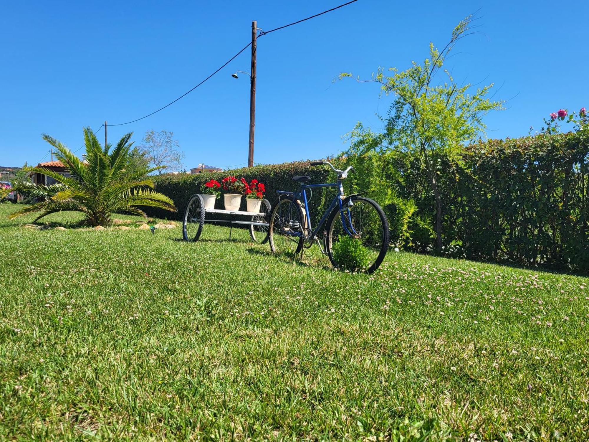 Villa Harry's Alexandroupoli
